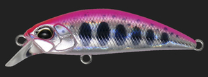 リュウキ.jpg