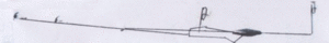 yaen1.gif